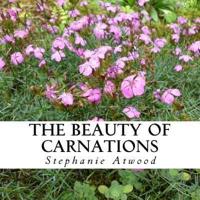 The Beauty of Carnations