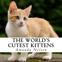 The World's Cutest Kittens