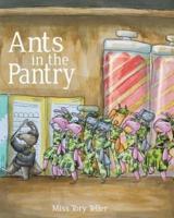 Ants In The Pantry