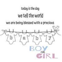 Today Is the Day We Tell the World! Gender Reveal