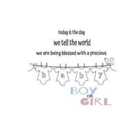 Today Is the Day We Tell the World! Gender Reveal