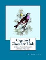 Cage and Chamber Birds