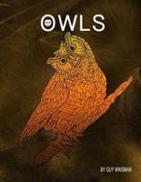 Owls: Owls - This book is a collection of 30 unique detailed Owl designs. @guywaisman