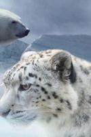 Ice Creatures Leopard and Snow Polar Bear Notebook