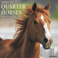 American Quarter Horses 2020 Wall Calendar