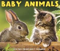 Baby Animals 2020 Box Calendar