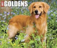 Just Goldens 2020 Box Calendar (Dog Breed Calendar)