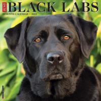 Just Black Labs 2022 Wall Calendar (Retriever Dog Breed)