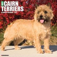 Just Cairn Terriers 2022 Wall Calendar (Dog Breed)