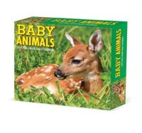 Baby Animals 2022 Box Calendar, Daily Desktop