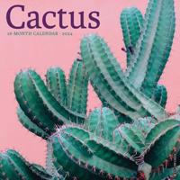 Cactus 2024 12 X 12 Wall Calendar