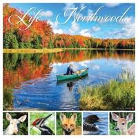 Life in the Northwoods 2024 12 X 12 Wall Calendar