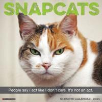 Snapcats 2024 12 X 12 Wall Calendar