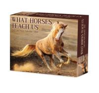 What Horses Teach Us 2024 6.2 X 5.4 Box Calendar