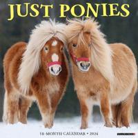 Ponies 2024 12 X 12 Wall Calendar