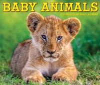 2025 Baby Animals Box Calendar