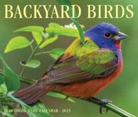 2025 Backyard Birds Box Calendar