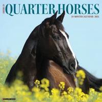 2025 American Quarter Horses Wall Calendar