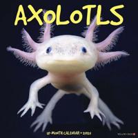 2025 Axolotls Wall Calendar