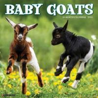 2025 Baby Goats Wall Calendar