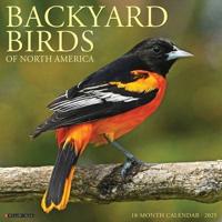 2025 Backyard Birds of North America Wall Calendar