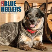 Just Blue Heelers 2025 12 X 12 Wall Calendar