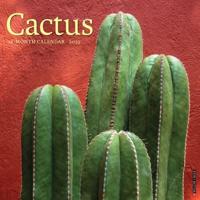 2025 Cactus Wall Calendar
