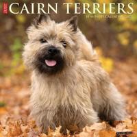 Just Cairn Terriers 2025 12 X 12 Wall Calendar
