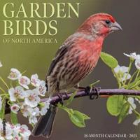 2025 Garden Birds of North America Wall Calendar