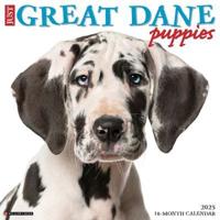 Just Great Dane Puppies 2025 12 X 12 Wall Calendar