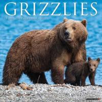 2025 Grizzlies Wall Calendar