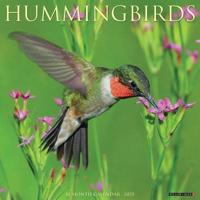 2025 Hummingbirds Wall Calendar