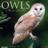 2025 Owls Wall Calendar