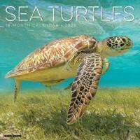 2025 Sea Turtles Wall Calendar