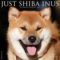 Just Shiba Inus 2025 12 X 12 Wall Calendar