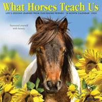 2025 What Horses Teach Us Wall Calendar
