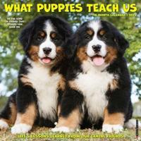 What Puppies Teach Us 2025 12 X 12 Wall Calendar
