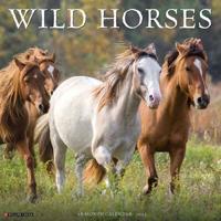 2025 Wild Horses Wall Calendar