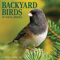 2025 Backyard Birds Mini Calendar