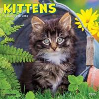 2025 Kittens Mini Calendar