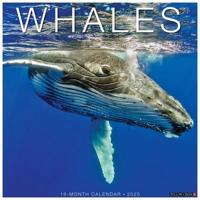 2025 Whales Wall Calendar