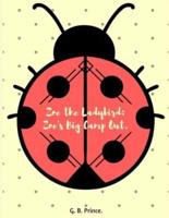 Zoe the Ladybird.: Zoe's Big Camp Out.
