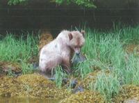 British Columbia's Magnificent Parks