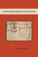 The Invisible World Is In Decline