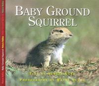 Baby Ground Squirrel