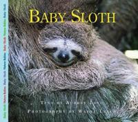 Baby Sloth