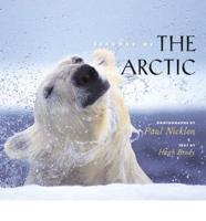 Seasons of the Arctic