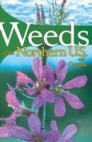 Weeds of the Northern U.S. And Canada