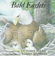 Bald Eaglets