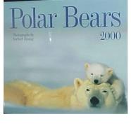 Polar Bears Calendar. 2000